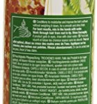 The Body Shop Rainforest Moisture Conditioner, Regular, 8.4 Fluid Ounce