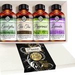 Oil of Youth Large Premium Aromatherapy Gift Set with Lavender, Eucalyptus, Tea Tree, and Peppermint