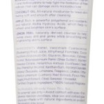 Yes To Blueberries Smoothing Cleanser, 4.5 Ounce